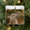 Personalised Funny Dog Picture Christmas Photo
