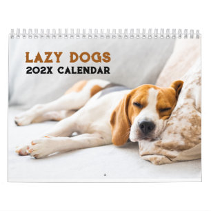 Personalised Funny Lazy Dogs 2026 Calendar