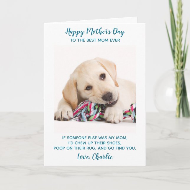 Personalised Funny Pet Photo Dog Mum Mothers Day Holiday Card (Front)