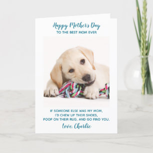 Personalised Funny Pet Photo Dog Mum Mothers Day Holiday Card