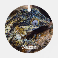 Personalised Gargoyle Gecko Pet Lizard