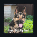 Personalised German Shepherd Dog Photo, Dog Name Magnet<br><div class="desc">Personalise this keepsake with your uploaded German Shepherd's photo and their name (can also upload any photo and personalised with any text). Text reads "Best Dog Ever" or add your own text - We love "dog's name", dog's birthday or day of passing. Just click on "customise" to add your personalised...</div>