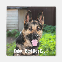 Personalised German Shepherd Dog Photo, Dog Name