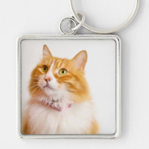 Personalised Ginger Cat Photo Custom Name  Key Ring
