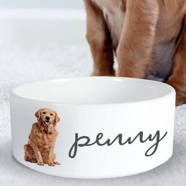 Personalised Golden Retriever Dog Food (Creator Uploaded)