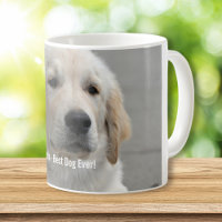 Personalised Golden Retriever Dog Photo and Name