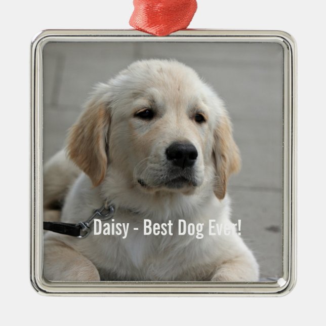 Personalised Golden Retriever Dog Photo and Name Metal Tree Decoration (Front)