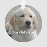 Personalised Golden Retriever Dog Photo and Name