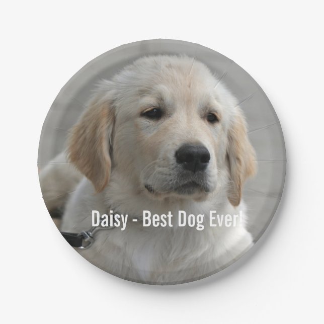 Personalised Golden Retriever Dog Photo and Name Paper Plate (Front)