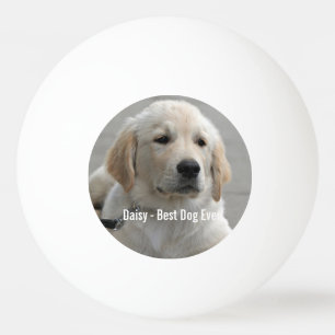 Personalised Golden Retriever Dog Photo and Name Ping Pong Ball