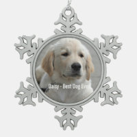 Personalised Golden Retriever Dog Photo and Name