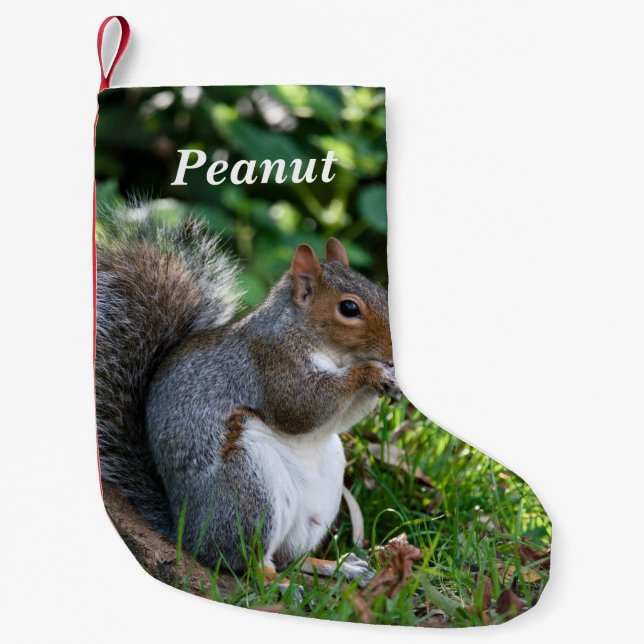 Personalised Grey Squirrel  Small Christmas Stocking (Front)
