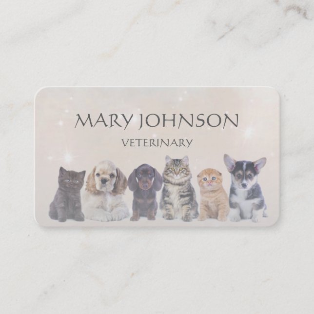 Personalised Grey Veterinary Business Cart Card (Front)