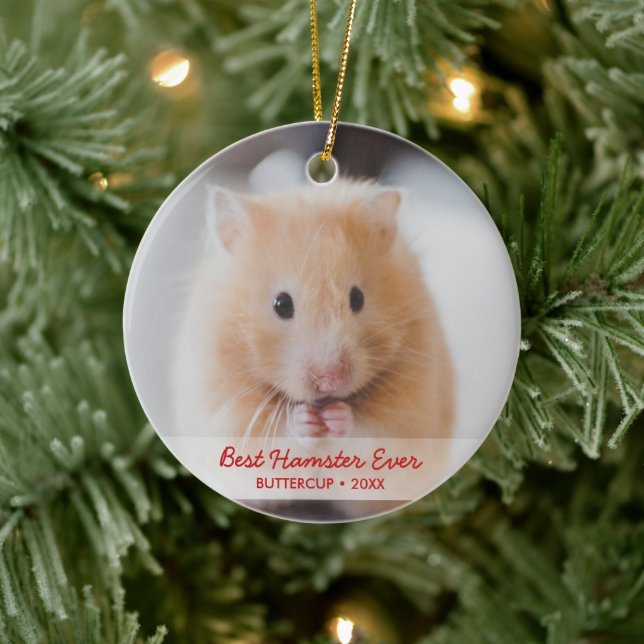 Personalised Hamster Pet Photo & Name Christmas Ceramic Tree Decoration (Tree)