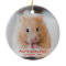 Personalised Hamster Pet Photo & Name Christmas