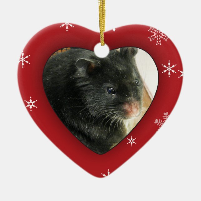 Personalised Hamster Photo Holiday Ornament (Front)