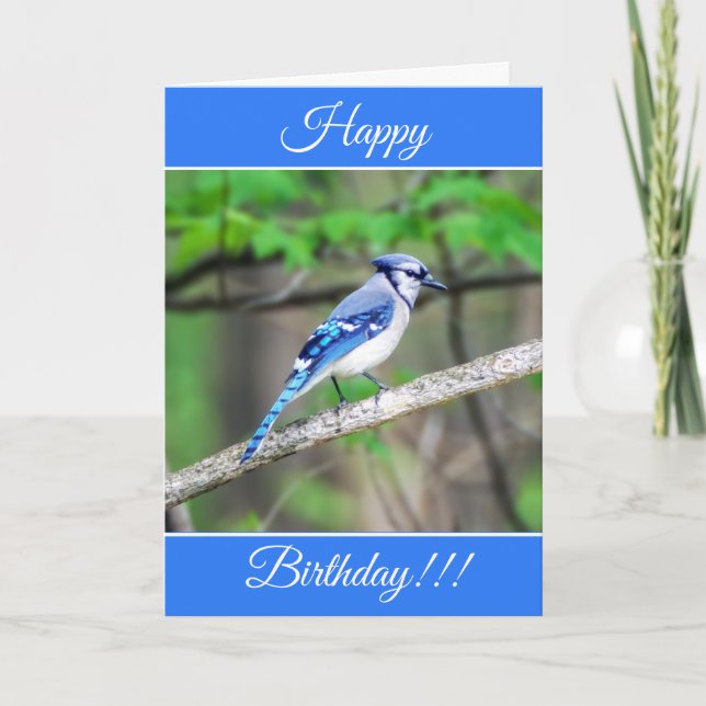 Personalised Happy Birthday Blue Jay Card (Front)