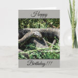 Personalised Happy Birthday Snake Card<br><div class="desc">Personalised Happy Birthday Snake Card</div>