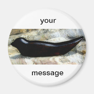 personalised harbour seal magnet
