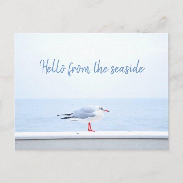 Personalised// Hello // Seagull Postcard (Front)
