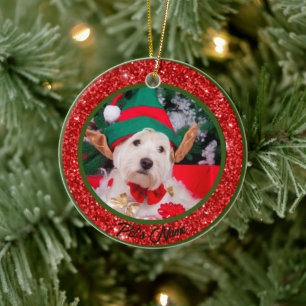 Personalised Horse Pet Ornament Photo Name Year