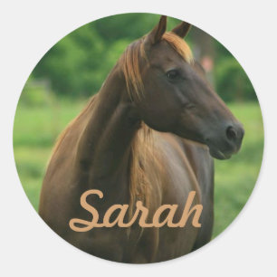 Personalised Horse Stickers