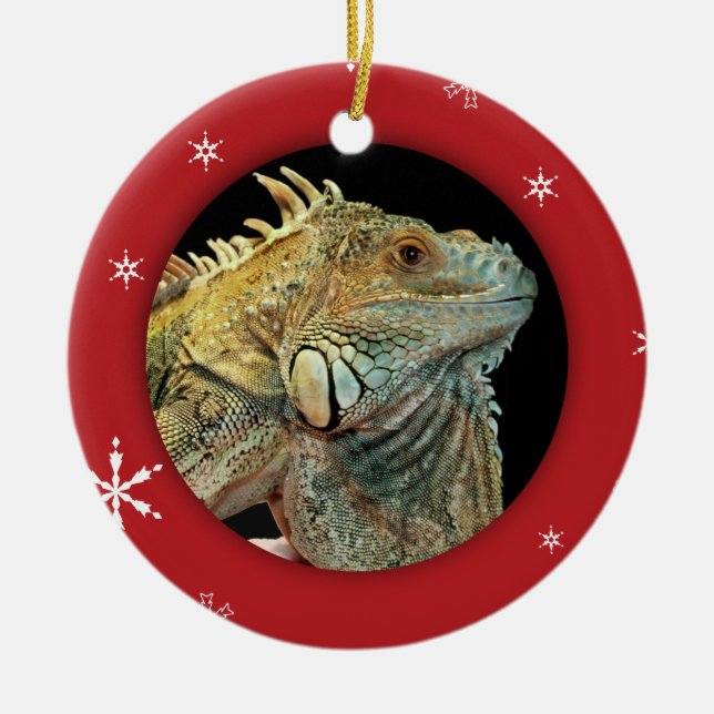 Personalised Iguana/Pet Photo Holiday Ceramic Tree Decoration (Front)