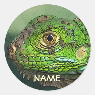 Personalised Iguana Sticker