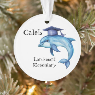 Personalised Kids Graduation Dolphin Ornament