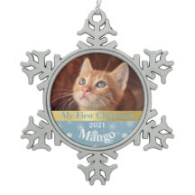Personalised Kitten's First Christmas Photo