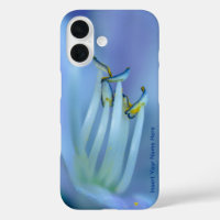 Personalised "La La Land" Elegant Floral Photo