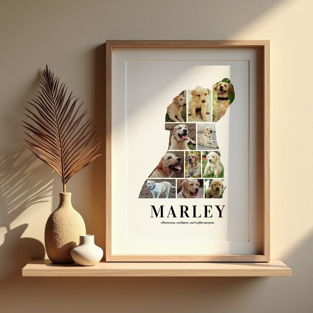 Personalised Labrador Photo Collage Poster (Creator Uploaded)