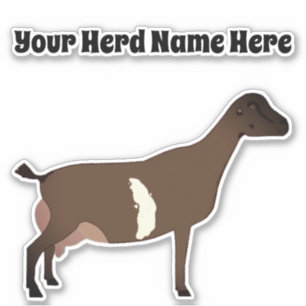 Personalised LaMancha Dairy Goat