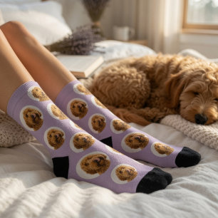 Personalised Lavender Pet Face Socks Custom Dog