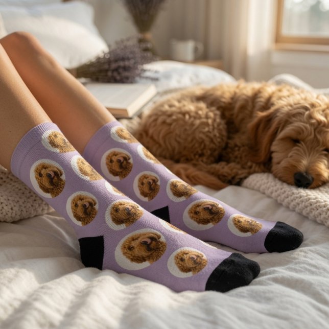 Personalised Lavender Pet Face Socks | Custom Dog  (Creator Uploaded)