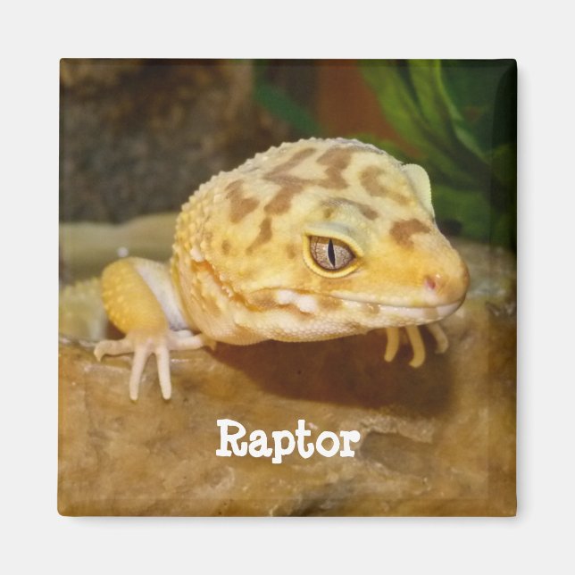 Personalised Leopard Gecko Lizard Magnet (Front)