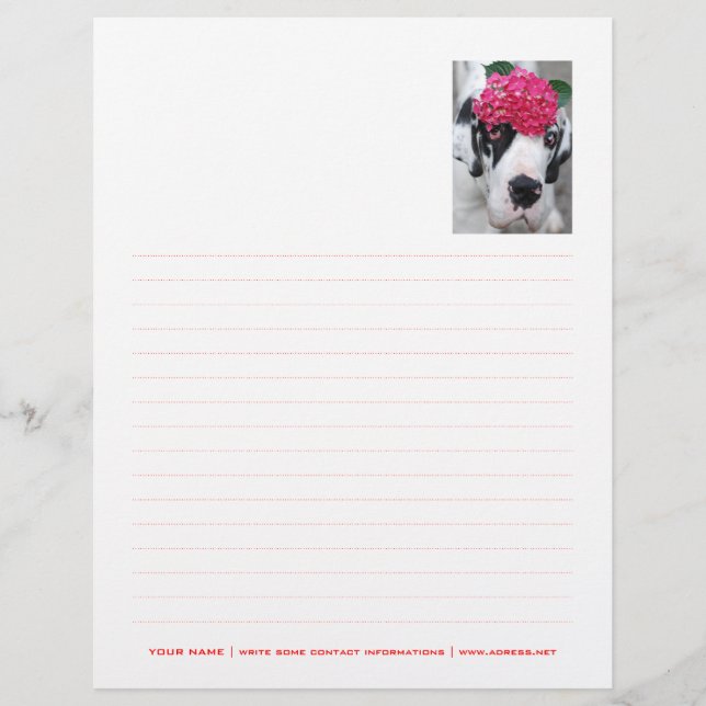 Personalised Letterhead Dotted (Front)