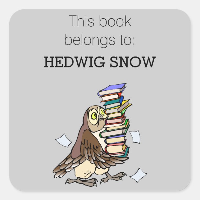 Personalised Library Cute Owl Bookplate Square Sticker (Front)
