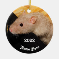 Personalised Lilac Mink Fancy Pet Rat 