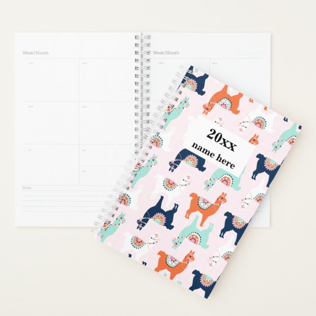 Personalised Llama Planner (Display)