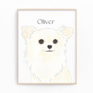 Personalised Long Haired White Cream Chihuahua Photo Print