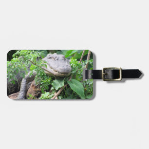 Personalised Luggage Tag - Comfy Gator