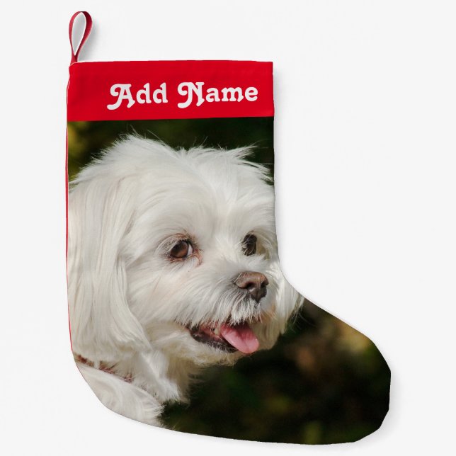 Personalised Maltese Dog Christmas Stocking (Front)