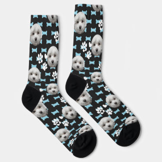 Personalised Maltese Socks — Custom Dog Photo Gift