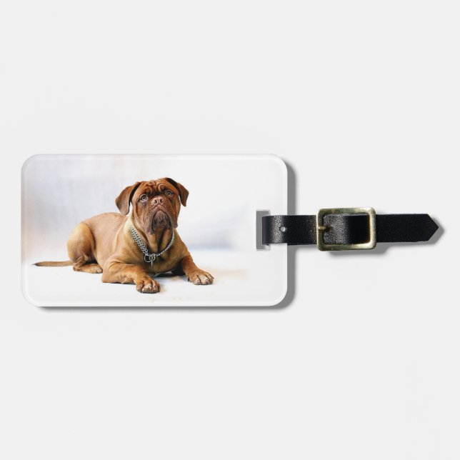 Personalised Mastiff / Dog Photo Luggage Tag (Front Horizontal)