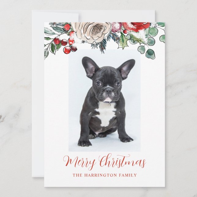 Personalised Merry Christmas French Bulldog Puppy Holiday Card (Front)
