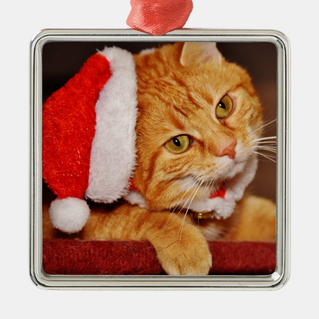 Personalised Merry Christmas Orange Tabby Cat Metal Tree Decoration (Front)