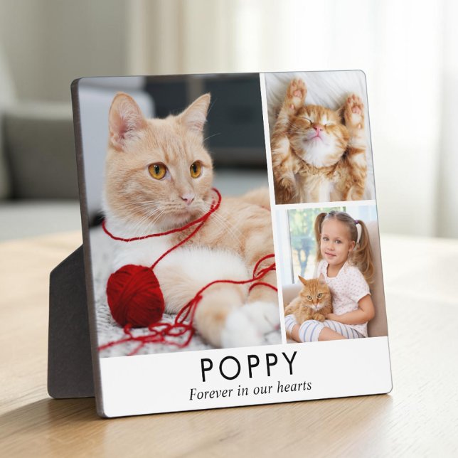 Personalised Minimalist Cat Memorial Photo Plaque (Personalized Minimalist Cat Memorial Photo Plaque
)