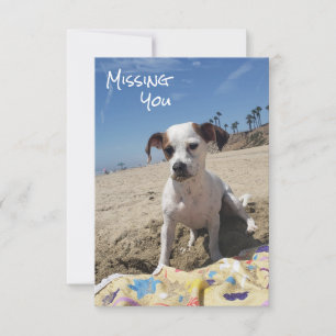 Personalised Missing You Dog Card
