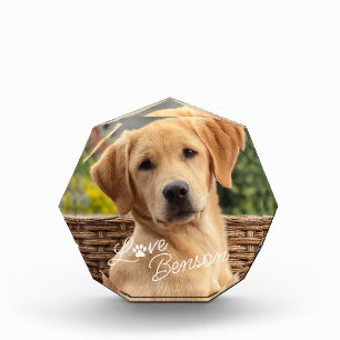 Personalised My Best Friend Picture Love Paw Print Photo Block